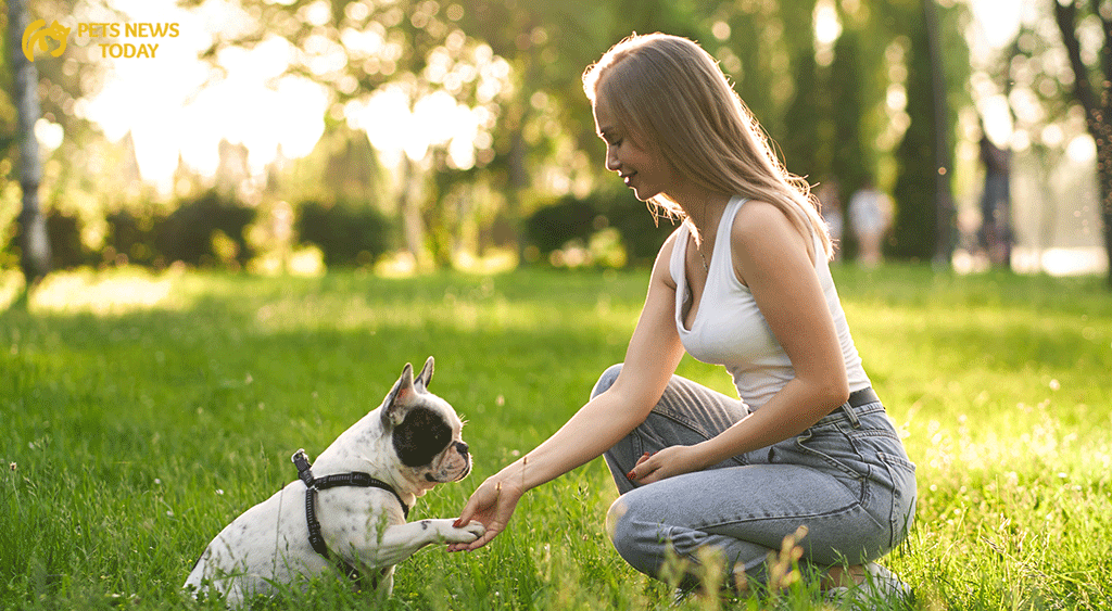 The Importance of Patience and Love in Puppy Training