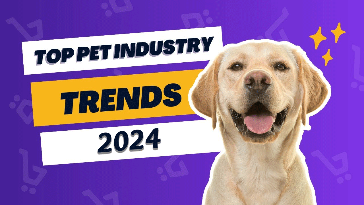 Trends and Innovations of Dog News